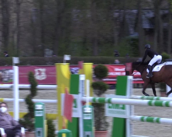 Reitturnier Münster-Handorf 2021