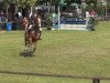 jumper Locomino (Oldenburg show jumper, 2007)