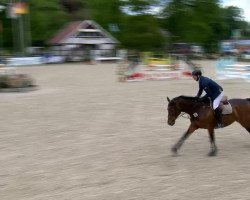 jumper Chica Argentina (Hanoverian, 2007, from Chico's Boy)