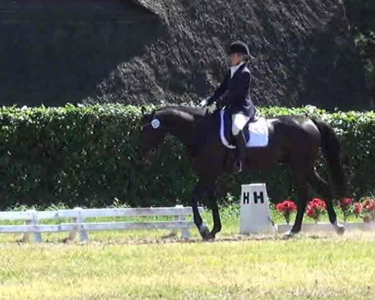 dressage horse Lennon 27 (Hanoverian, 2001, from Latimer)