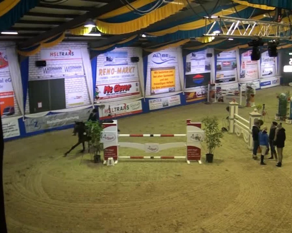 Zuchtstute Quislaine 2 (Oldenburger, 2004, von Quidam's Rubin)