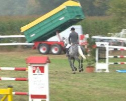 broodmare Up And Away 4 (Holsteiner, 2004, from Colman)