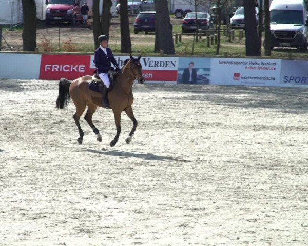 FEI Reitturnier Westergellersen (GER) 2021