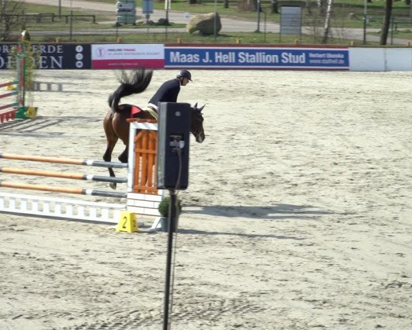 FEI Reitturnier Westergellersen (GER) 2021