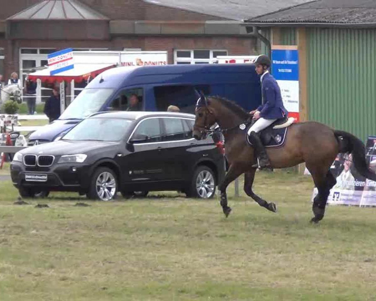 jumper Carnegie 2 (Holsteiner, 1998, from Carnaby GL)