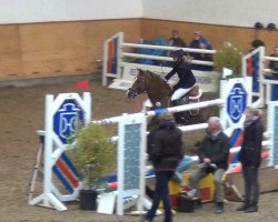 jumper Lando 201 (German Riding Pony, 1996, from Solid Loys)