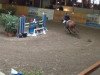 jumper Emilie-Joulie (Hanoverian, 2003, from GB Escondido)