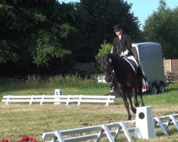 dressage horse Nuit (Hanoverian, 2000, from Espri)