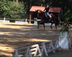 dressage horse Rubin Brillant (Hanoverian, 2005, from Rubin Royal OLD)