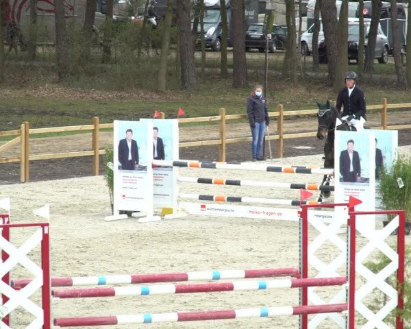 FEI Reitturnier Westergellersen (GER) 2021