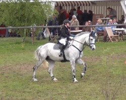 broodmare Su-Sira (Holsteiner, 2002, from Cassini I)