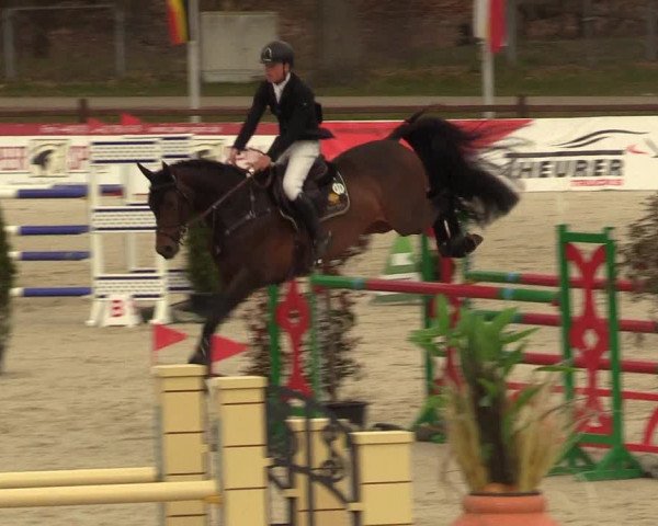 FEI Reitturnier Westergellersen (GER) 2021
