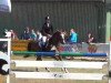 jumper Tannhaeuser 10 (Little German Riding Horse, 2001, from Tamino II)