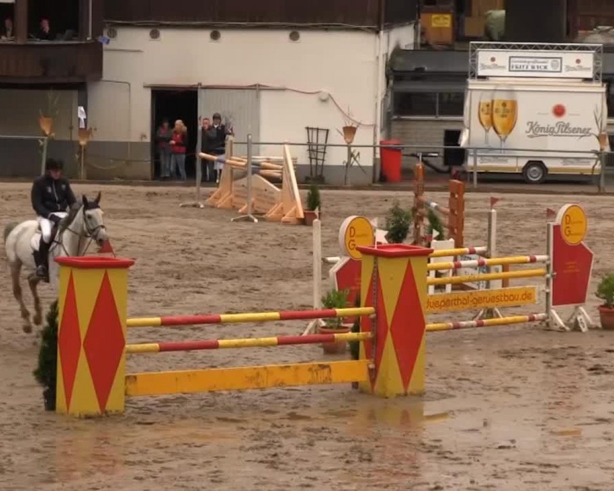 Springpferd Hbr Claudius (Deutsches Sportpferd, 2004, von Clearway)