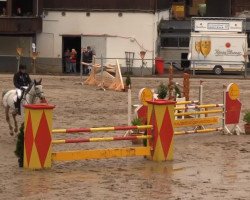 jumper Hbr Claudius (German Sport Horse, 2004, from Clearway)