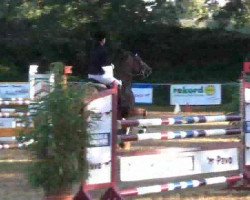 jumper Raluca 3 (Romanian Warmblood, 2004, from Cantemir)