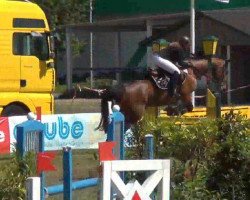 jumper Faith to you (German Warmblood, 2000, from Flaneur)