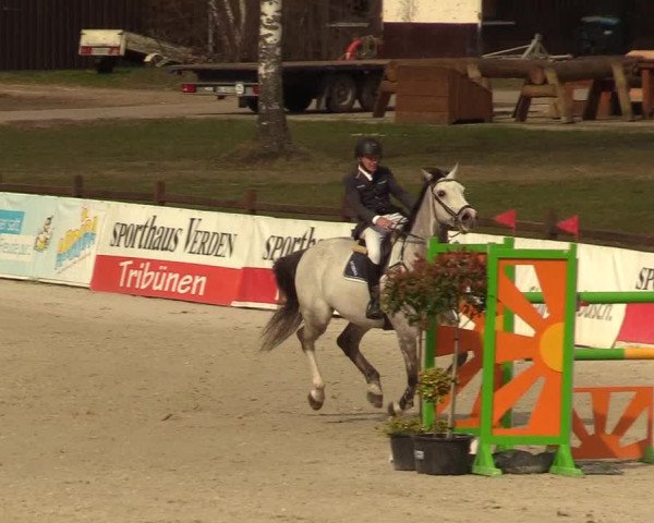 FEI Reitturnier Westergellersen (GER) 2021