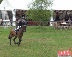 dressage horse Mon Cheval 2 (Hanoverian, 2003, from Camillo Star)