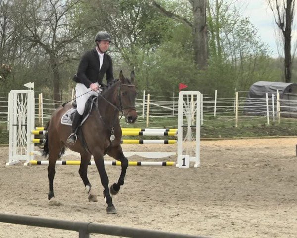 Reitturnier Lampertheim 2021
