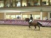 jumper Quattro's All the Best (KWPN (Royal Dutch Sporthorse), 2004, from Quattro B)