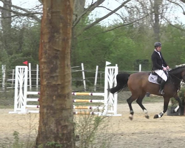 Reitturnier Lampertheim 2021