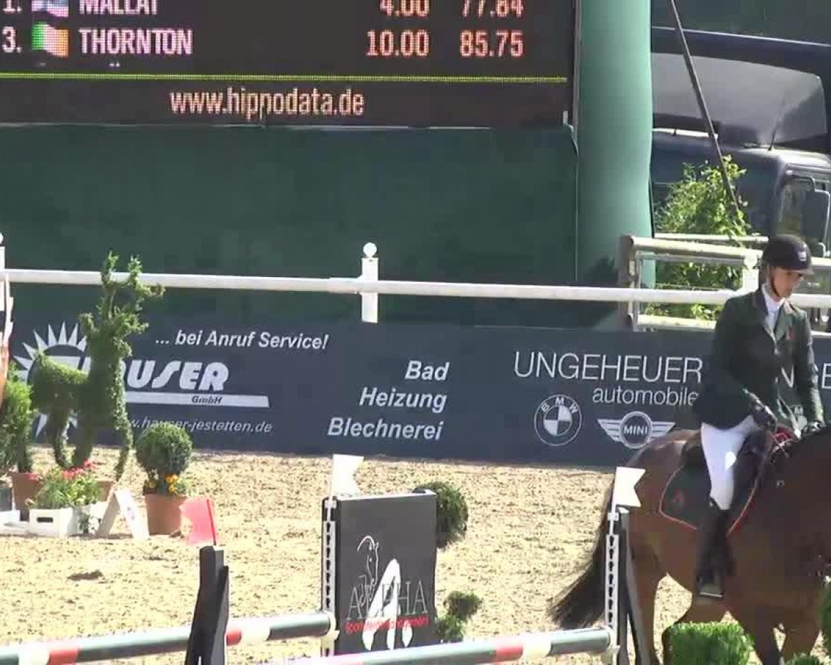 jumper Albfuehren's Baya Rouge (Württemberger, 2006, from Balou du Rouet)