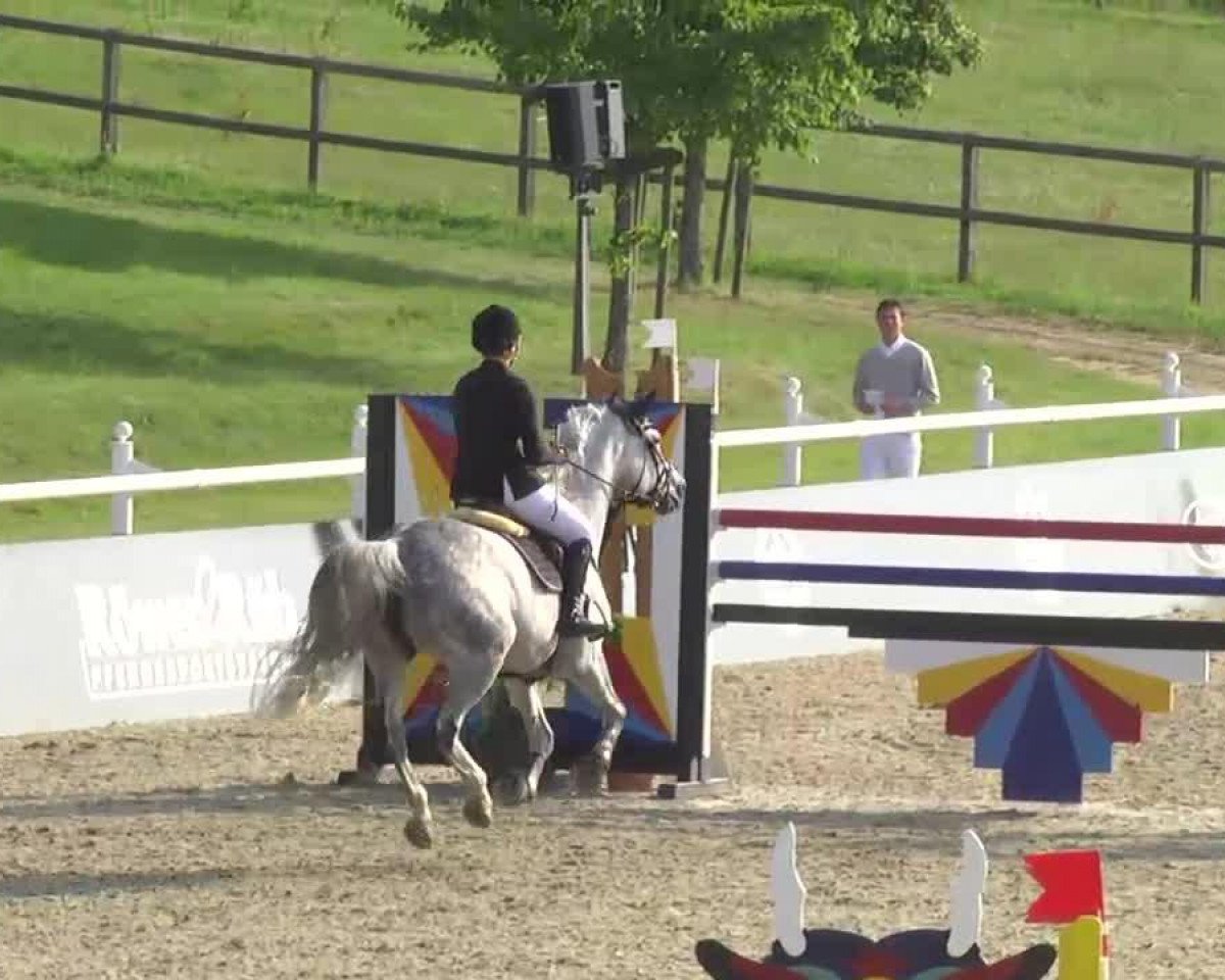 broodmare Quick Lucy (Oldenburg show jumper, 2003, from Candidatus)