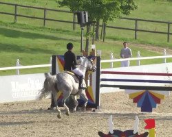 broodmare Quick Lucy (Oldenburg show jumper, 2003, from Candidatus)