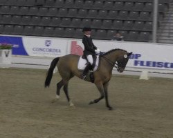 dressage horse Diego R (Hanoverian, 2003, from Don Vino)