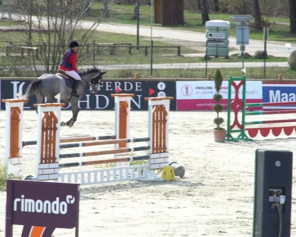 FEI Reitturnier Westergellersen (GER) 2021