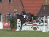 jumper Corofina (Hanoverian, 2005, from Contendro I)