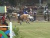 jumper Winnie Pooh 42 (German Riding Pony, 2000, from Viscount)