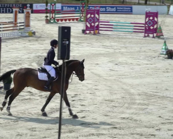 FEI Reitturnier Westergellersen (GER) 2021