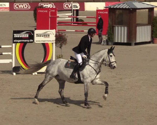 FEI Reitturnier Westergellersen (GER) 2021