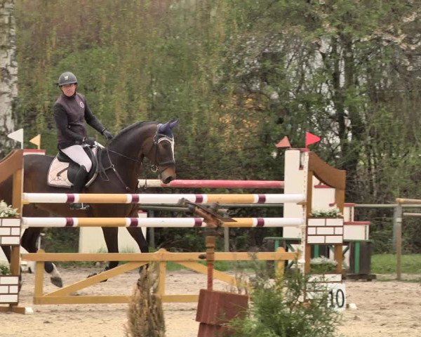 Reitturnier Lampertheim 2021