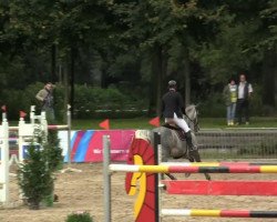 jumper Cassiana (Oldenburg show jumper, 2006, from Cassinus)