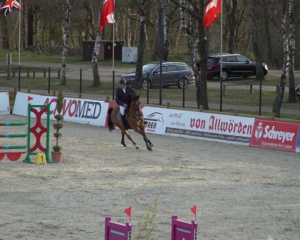 FEI Reitturnier Westergellersen (GER) 2021