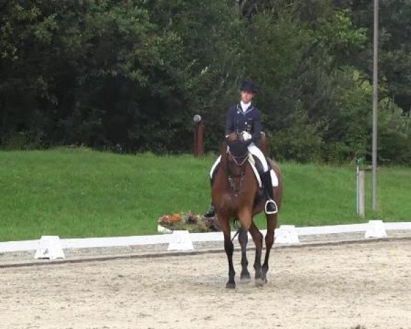 dressage horse Nymphenburg's Oligarch (Ukrainisches riding horse, 2003, from Garlem)