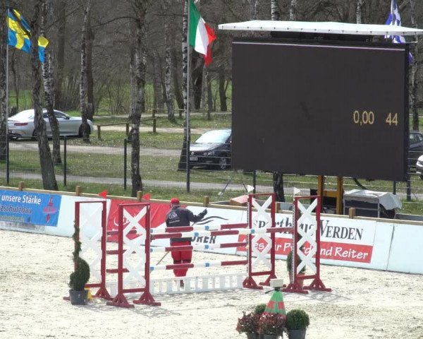 FEI Reitturnier Westergellersen (GER) 2021