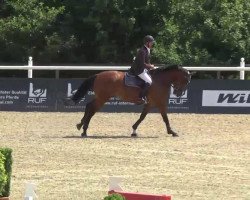 jumper Sethi de Laubert (Belgium Sporthorse, 2002, from Landjuweel St Hubert)