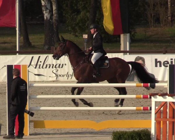FEI Reitturnier Westergellersen (GER) 2021