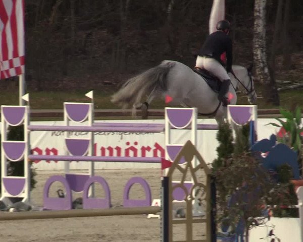 FEI Reitturnier Westergellersen (GER) 2021