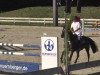 jumper Queens Coeur (Hanoverian, 2007, from Quite Easy I)