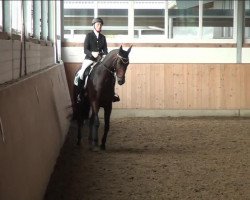 dressage horse Gut Saalhoff's Lumina (Hanoverian, 2007, from Light and Easy)