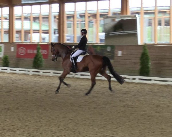 Reitturnier Coesfeld-Lette 2021