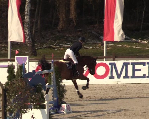 FEI Reitturnier Westergellersen (GER) 2021