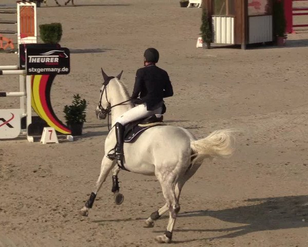 FEI Reitturnier Westergellersen (GER) 2021