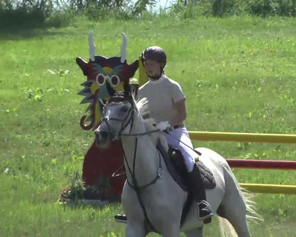 jumper Thea (Trakehner, 1996, from Donaumonarch)