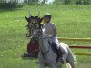 Springpferd Thea (Trakehner, 1996, von Donaumonarch)